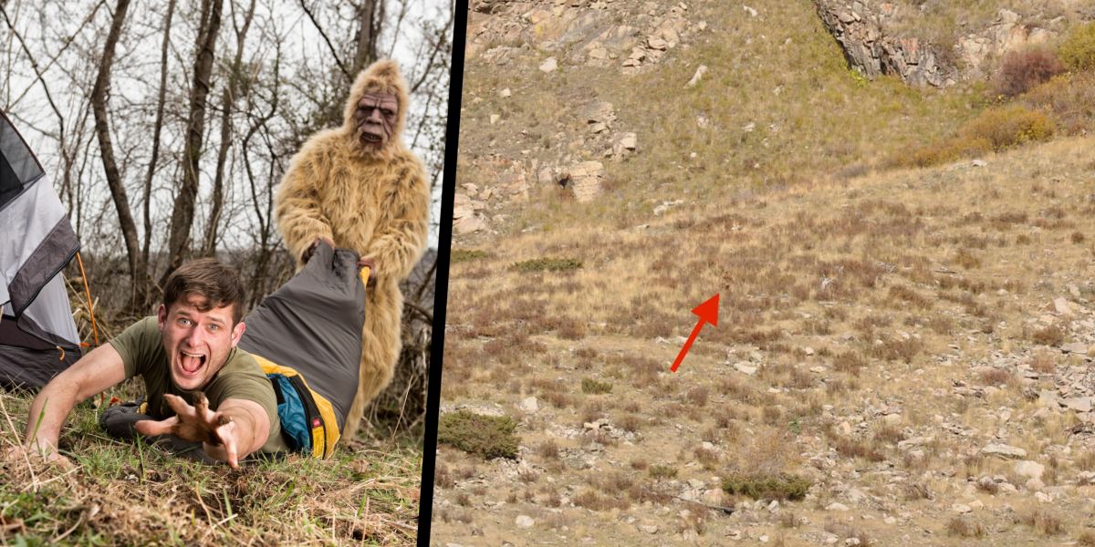 Is this evidence of Bigfoot in Colorado? – New York Post