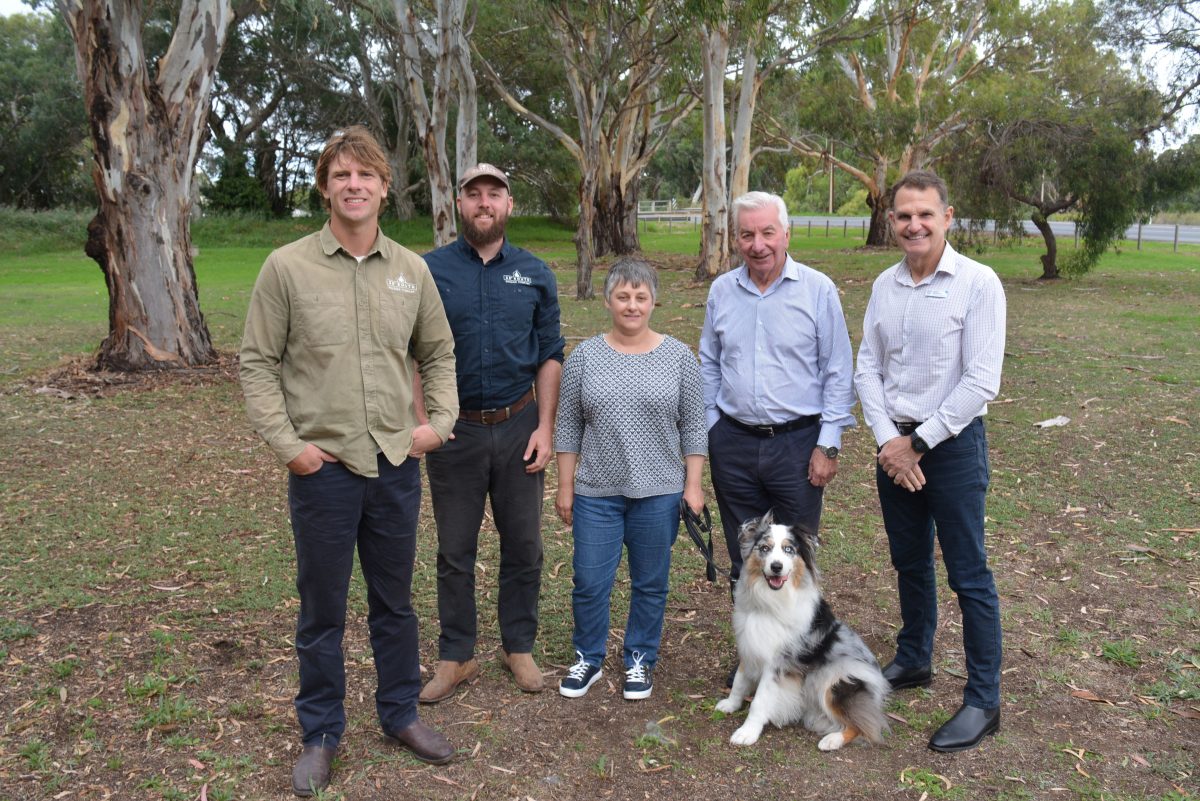 Progress for the Langhorne Creek Trail Plan